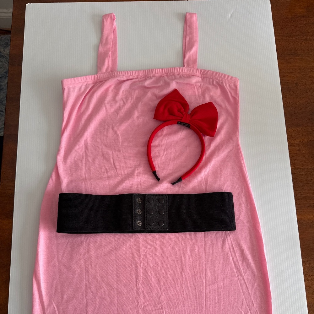 Power Puff Girls Costume “Blossom”